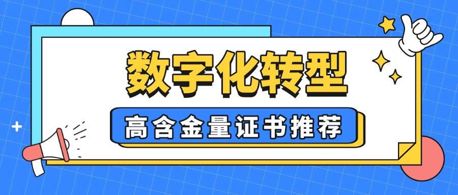 数字化转型：5本高含金量证书推荐