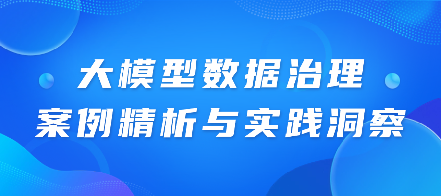 大模型数据治理：案例精析与实践洞察